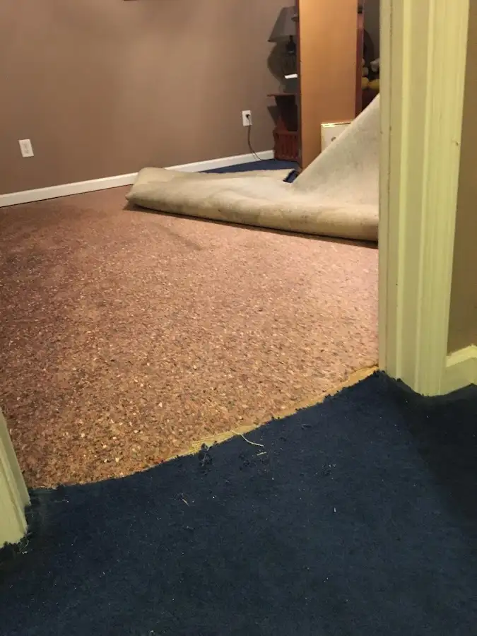 Carpet pad removal revealing water damage during Water Mitigation Services in Union Mill